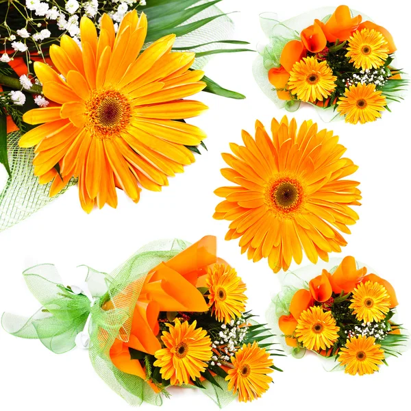 Floral bouquet — Stock Photo, Image
