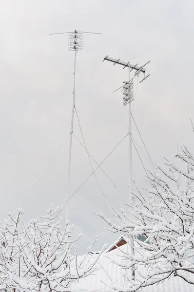 Antenn i snön — Stockfoto