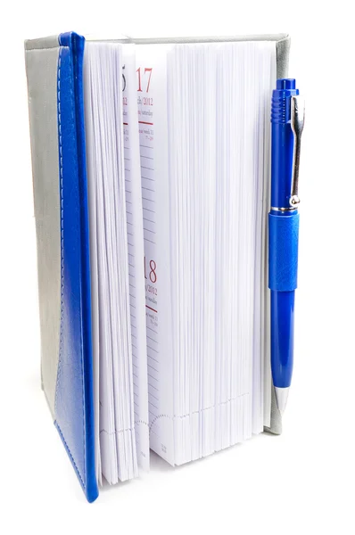 Organizador e caneta esferográfica — Fotografia de Stock