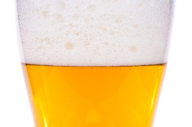 hafif bira