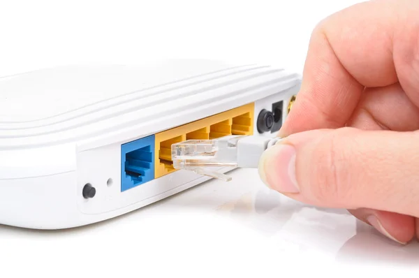 Sambungkan kabel ke switch jaringan — Stok Foto
