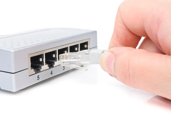 Connect the cable to the network switch — Stock Photo, Image