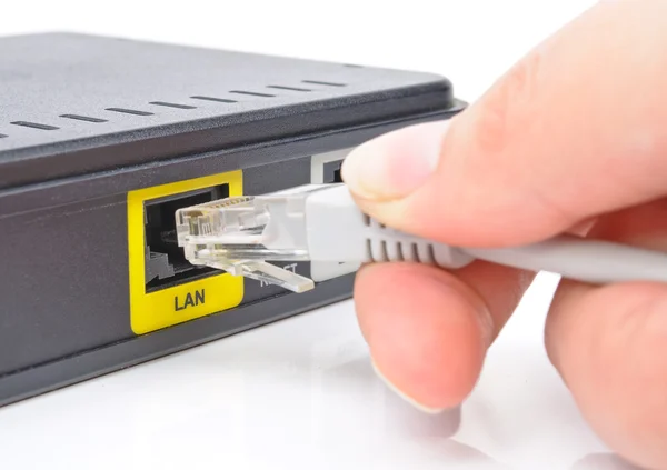 Connect the cable to the network switch — Stock Photo, Image