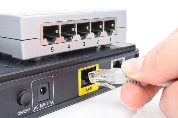 Connect the cable to the network switch — Stock Photo, Image