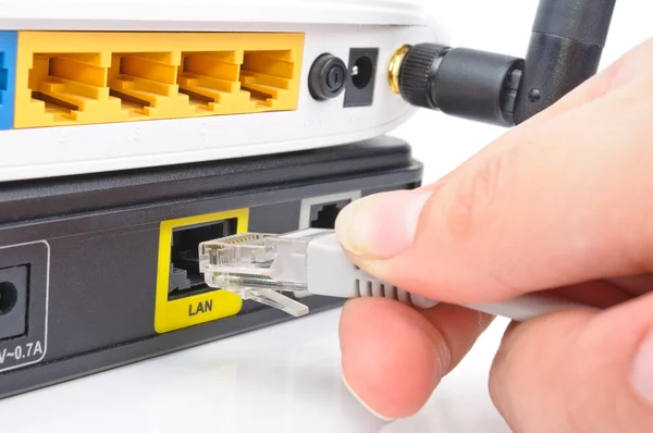 Conecte el cable al conmutador de red — Foto de Stock