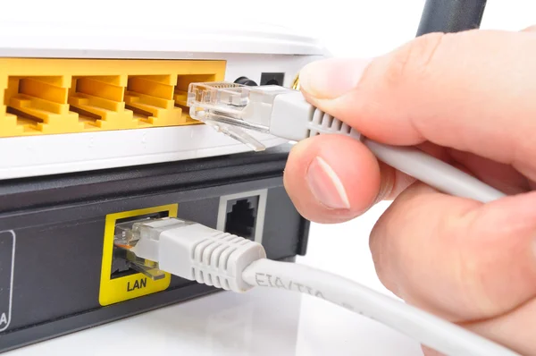 Anslut kabeln till en nätverks-switch — Stockfoto