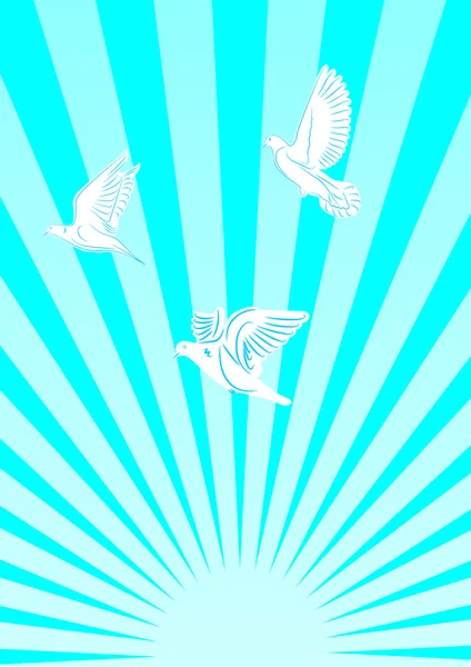 Vector image of sunset, sunrise, pigeons. Flying doves in the sun. — Stock Vector