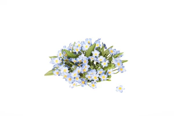 Mavi çiçekler - Stok İmaj
