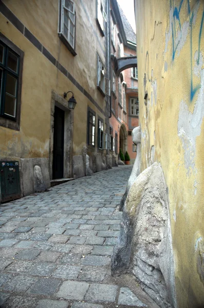 Alley At Fleischmarkt — Stock Photo, Image