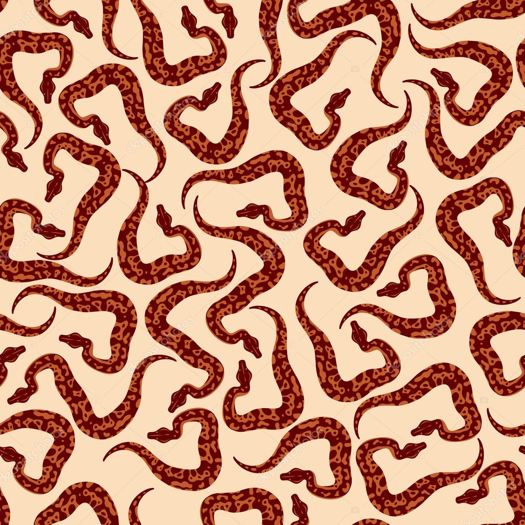 Snakes With Patterns