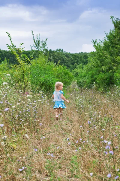 A criança vai para a floresta — Fotografia de Stock