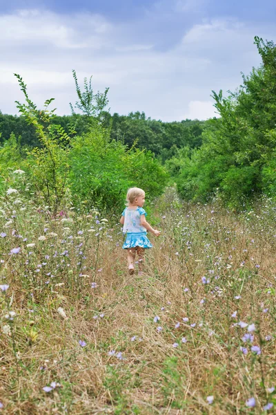 Dítě jde do lesa — Stock fotografie