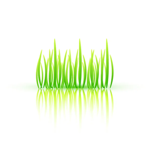 Nature grass concept — Stock Vector