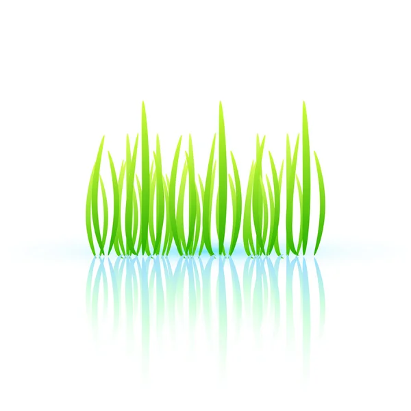 자연 잔디 개념 — 스톡 벡터