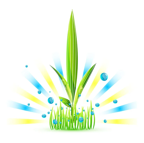 Naturaleza hierba concepto — Vector de stock