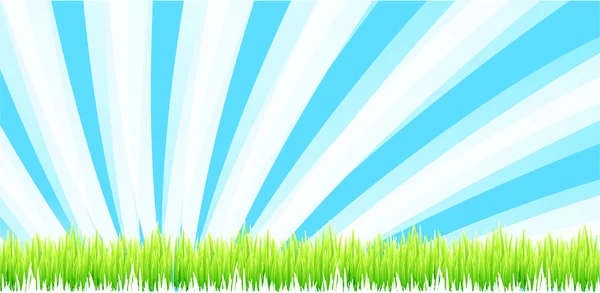 Grass background — Stock Vector