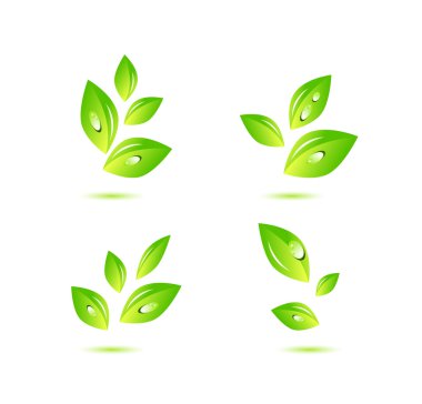 Green nature leaf concept clipart