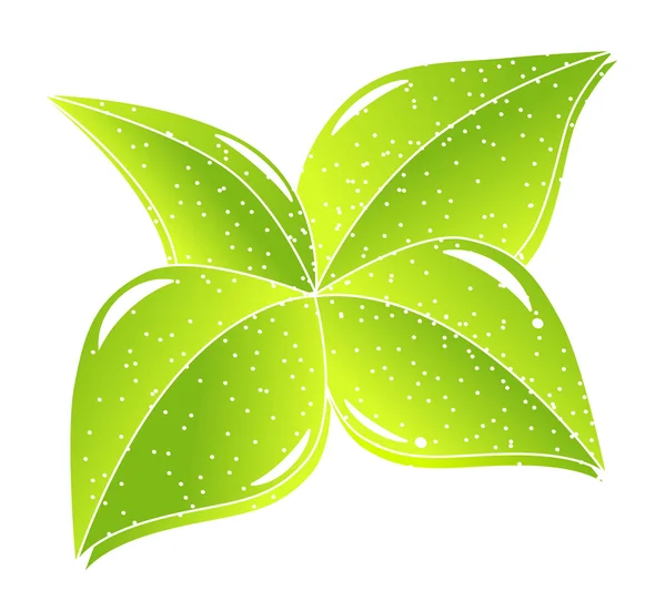 绿色自然叶概念 — 图库矢量图片