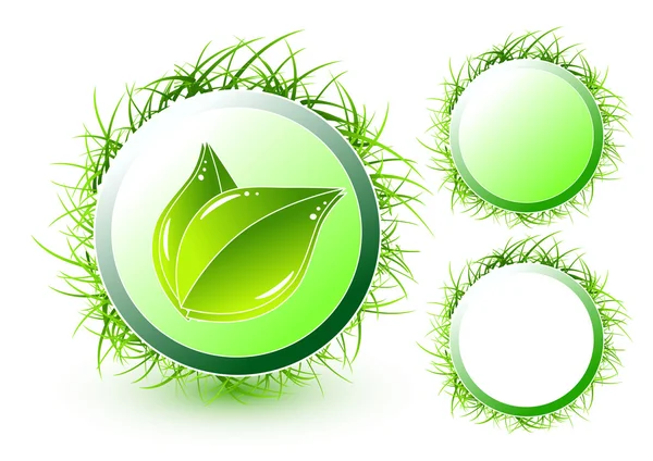 Groen blad concept — Stockvector