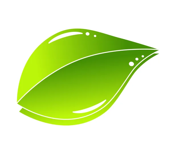 Conceito de folha verde natureza — Vetor de Stock