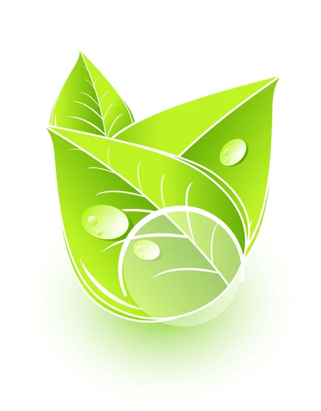 녹색 자연 잎 개념 — 스톡 벡터