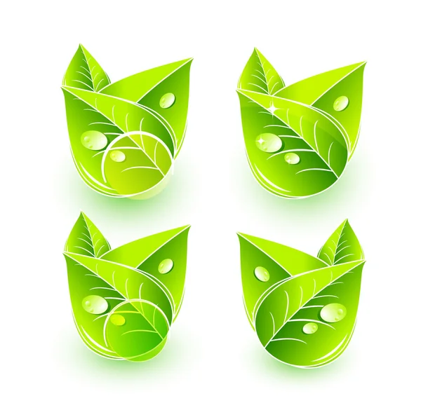 Grünes Naturblatt-Konzept — Stockvektor