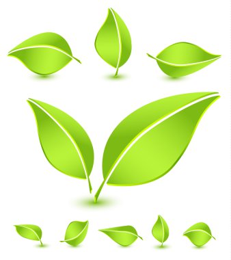 Global leaf green concept clipart