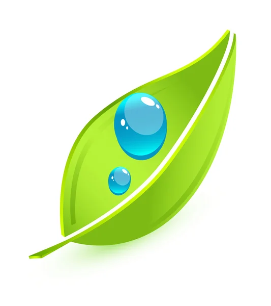 Πράσινο φύλλο έννοια — Διανυσματικό Αρχείο