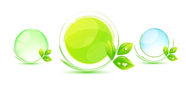 Πράσινο φύλλο έννοια — Διανυσματικό Αρχείο