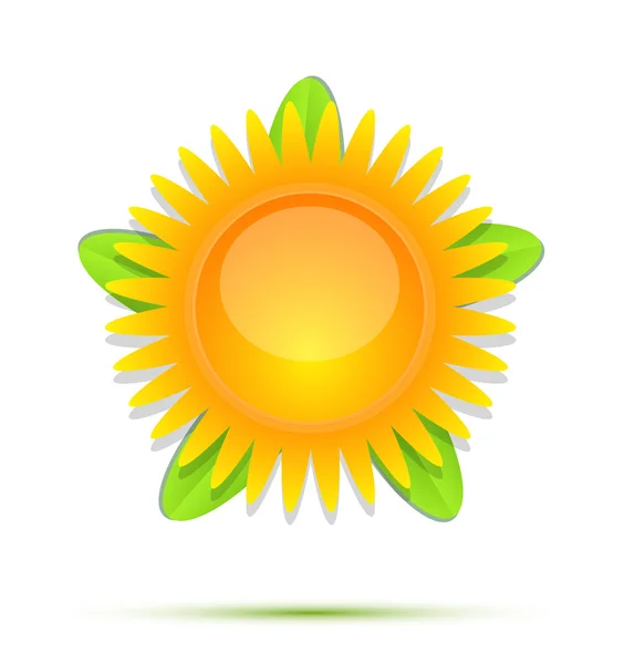 太陽と葉の概念的なアイコン セット — ストックベクタ