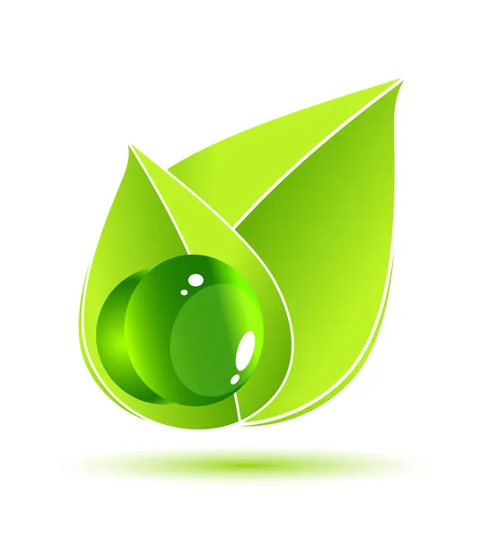 Green leaf vector concept — Stock Vector