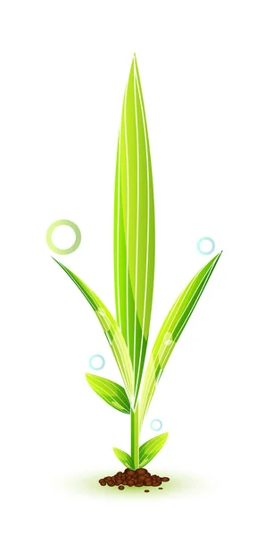 Yeşil yaprak vektör kavramı — Stok Vektör