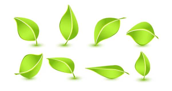 Icônes de feuilles — Image vectorielle