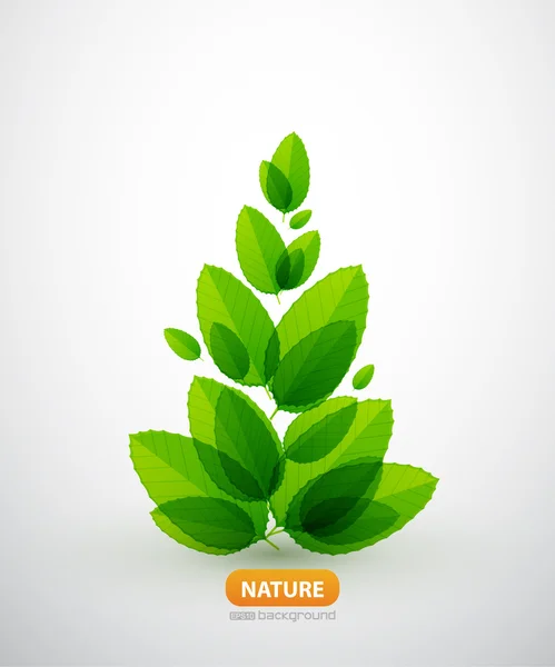 Feuille verte arbre d'été — Image vectorielle