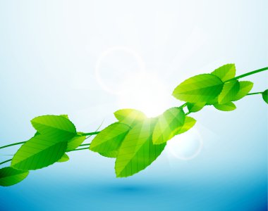 Nature leaves background clipart