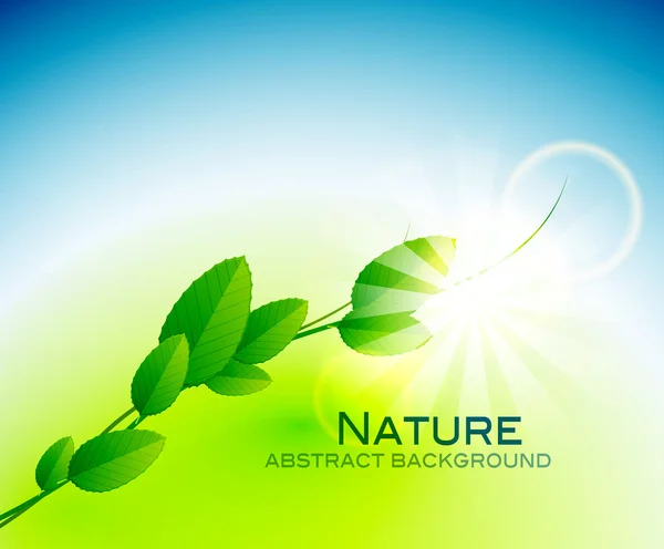 Nature leaves background — Stock Vector