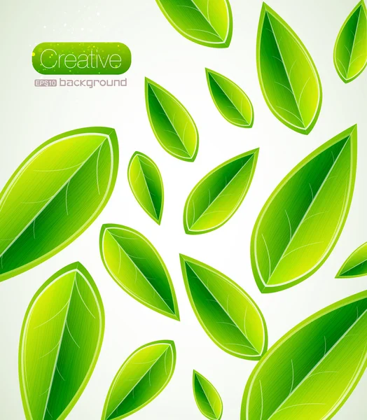 Φύλλα πράσινο διάνυσμα — Διανυσματικό Αρχείο