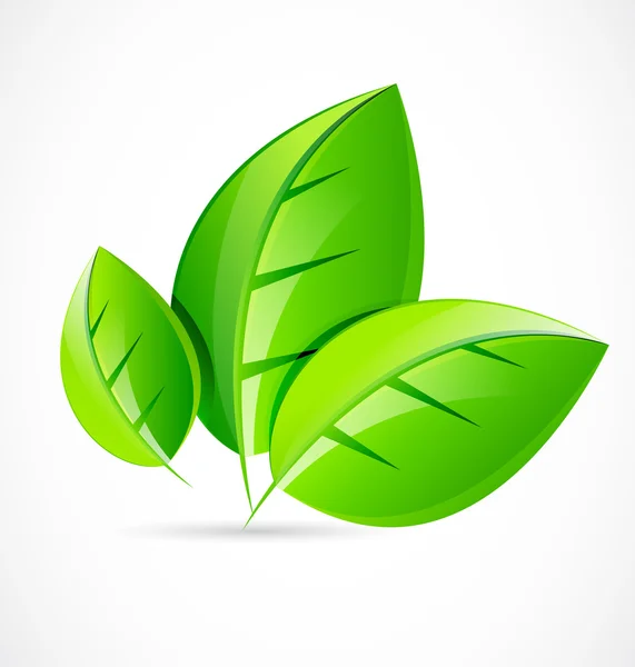 벡터 녹색 잎 개념 — 스톡 벡터