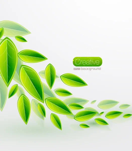 Green vector leaves — Stock Vector