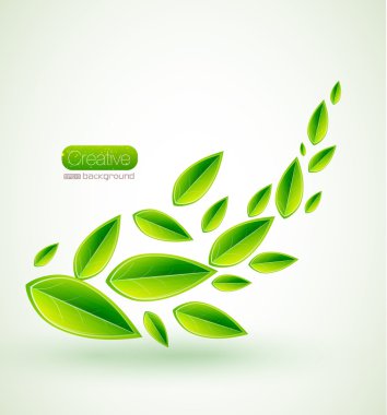vector verde hojas