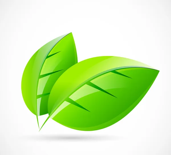 Vector green leaf concept — Stock Vector