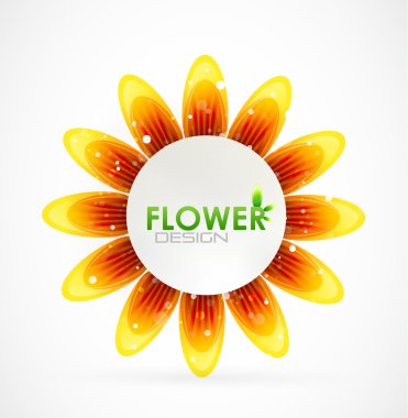 Sun flower arka plan