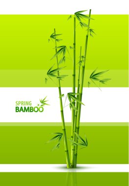 Bamboo background clipart