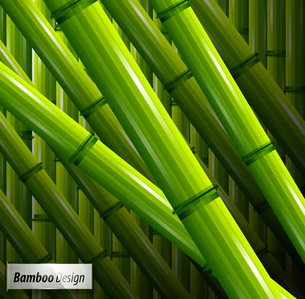 Fundo de bambu verde — Vetor de Stock