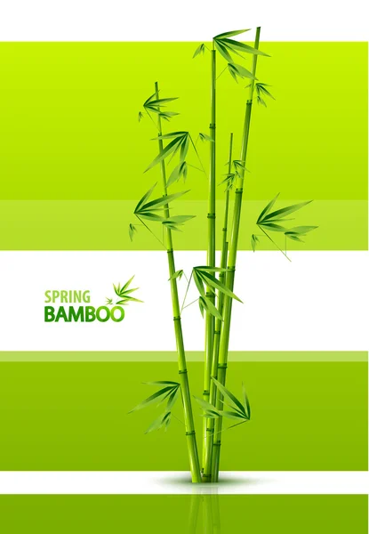 Bambus fundal — Vector de stoc