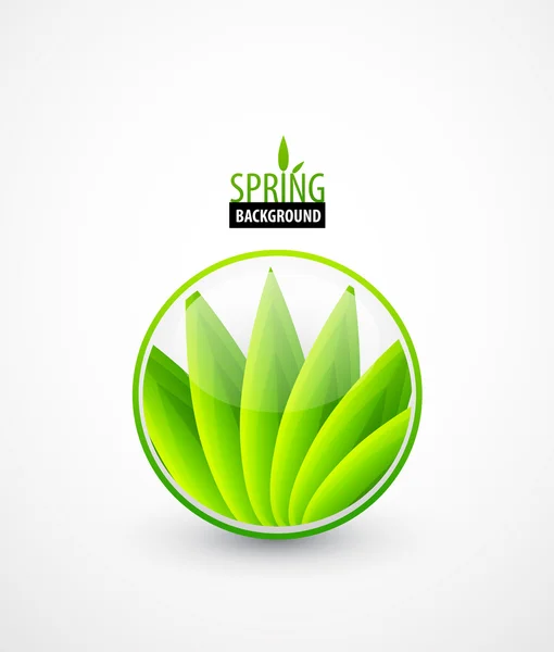Conceito de primavera folhas verdes — Vetor de Stock