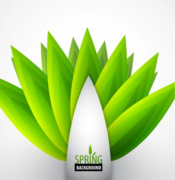 Conceptul de primăvară verde frunze — Vector de stoc