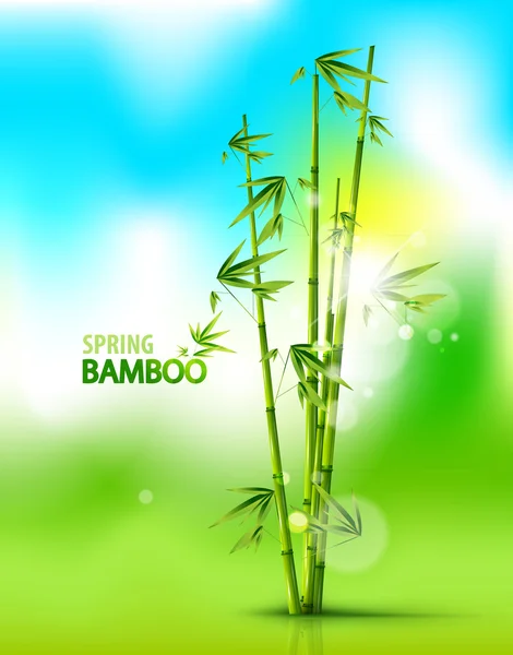 Bambu Arkaplanı — Stok Vektör
