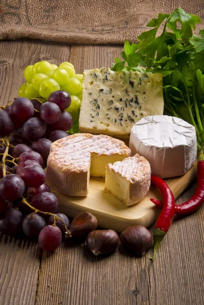 Diferentes tipos de queso —  Fotos de Stock