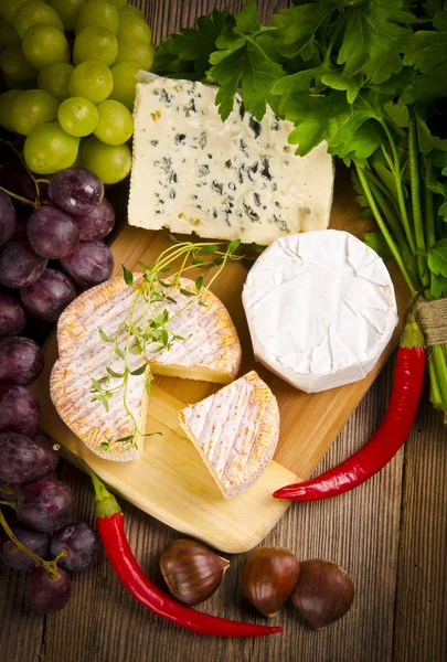 Τυρί διαφορετικά είδη — Φωτογραφία Αρχείου